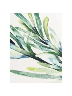 Cote Table Baumwoll-Geschirrtücher-Set Aroma mit Gewürz-Motiven, 5-tlg., L 70 x B 50 cm -Küche Geschäft Baumwoll Geschirrtucher Set Aroma mit Gewurz Motiven 5 tlg 5