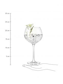 Leonardo Gingläser Gin, 2 Stück, Ø 11 x H 22 cm, 630 ml -Küche Geschäft Ginglaser Gin 2 Stuck 2