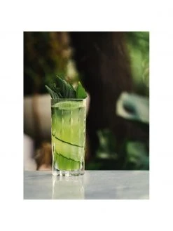 RCR Kristall-Longdrinkgläser Marilyn mit Relief, 6 Stück, Ø 7 x H 15 cm, 350 ml -Küche Geschäft Kristall Longdrinkglaser Marilyn mit Relief 6 Stuck 4