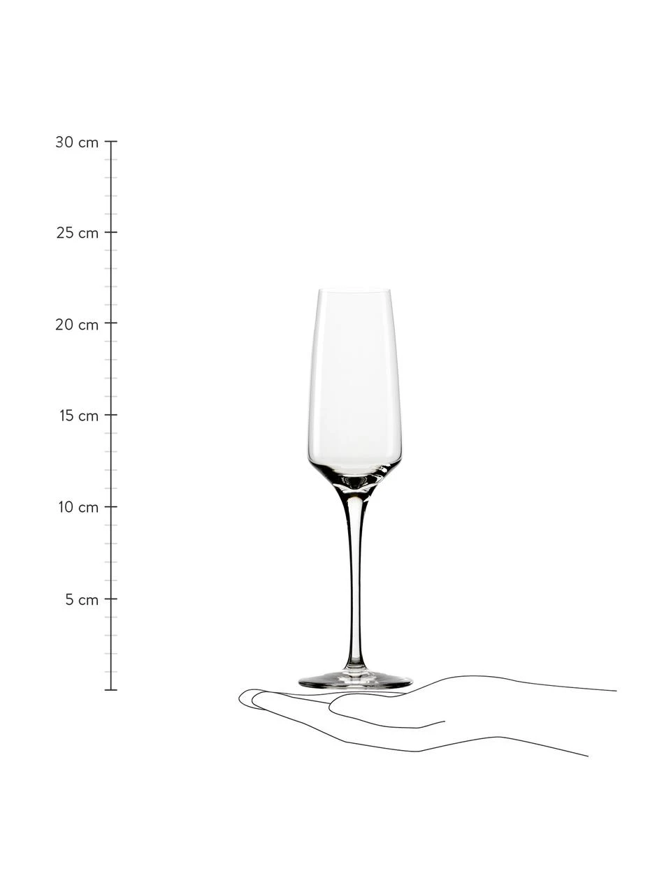 Kristall-Sektgläser Experience, 6 Stück, Ø 6 x H 22 cm, 185 ml 3 Kristall-Sektgläser Experience, 6 Stück, Ø 6 x H 22 cm, 185 ml – Bild 3