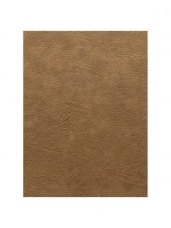 Asa Kunstleder-Tischsets Plini, 2 Stück, B 33 x L 46 cm -Küche Geschäft Kunstleder Tischsets Plini 2 Stuck 2