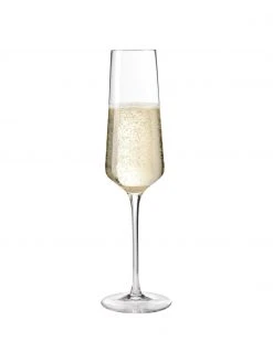 Leonardo Sektgläser Puccini, 6 Stück, Ø 7 x H 26 cm, 280 ml -Küche Geschäft Sektglaser Puccini 6 Stuck 3