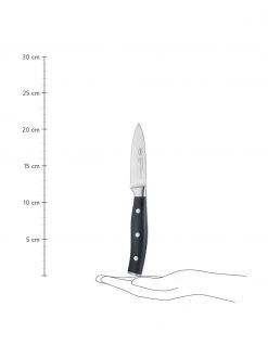 Rösle Spickmesser Tradition, L 21 cm -Küche Geschäft Spickmesser Tradition 2
